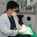 보스톤미소치과의원 네이버블로그