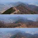 진해 웅산 벚꽃산행(710m) (3월25일) 이미지