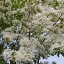 성덕한의원 이미지