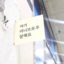 리니브로우