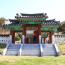 윤자운 사우 네이버블로그