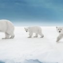 해나환경 이미지