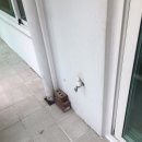 은하수청구 이미지