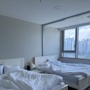 THE편안 트리니호텔 | [용인 호텔] 더트리니 어반스위트 호텔