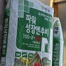 발효액비로 오이재배-Cucumber cultivation with fermented liquid fertilizer 이미지
