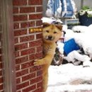 삼손짜장 이미지