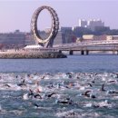 여수세계박람회장 이미지