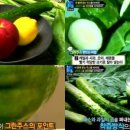 최강푸드 머니투데이