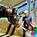 파크프리베 승마체험 🐎 이미지