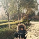 301차이나 이미지