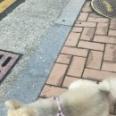 성도인쇄소 이미지
