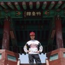 (주)올마 Daum카페