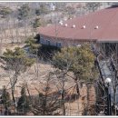 새중앙교회 이미지