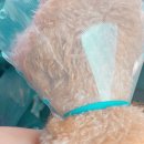 백록동물병원 이미지