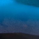 사랑이 머무는 미래 이미지