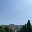 달려라 차차차 이미지