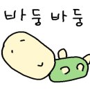운동맛집짐레이너
