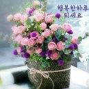 새봄부동산공인중개사사무소 이미지