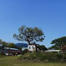 곡성-117 | 곡성 '미실란 반하다&amp;카페 씨앗의 마음'