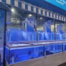 회뜨는바다 이미지