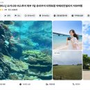오키나와 북부 투어 유투어버스 츄라우미 아메리칸빌리지 후기