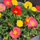 행복을 부르는 생활풍수 이미지