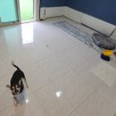 윤앤퍼피 이미지