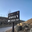 삼보쉼터 Daum카페