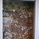 보령문화의전당 이미지