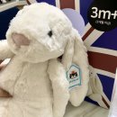 크림버니 이미지