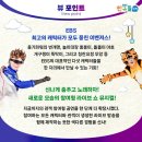 EBS 뮤지컬 이벤져스 이미지