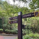 만인산 유아숲체험원 이미지