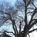 산천토담집 이미지