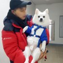 디반식스 이미지