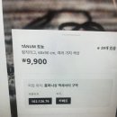 대도백양 이미지