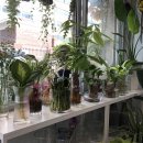 수경꽃집 이미지