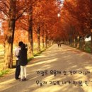 장*하