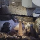 시장국밥 이미지