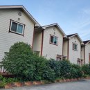 은빛아라 이미지