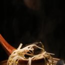 청담이상신제주점 이미지