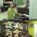 옥돌장 한국경제TV