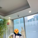 뒤늦은 2월 마무리