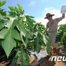 북진농장 이미지