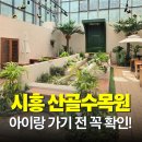 꽃날 | 시흥 산골수목원 카페 솔직후기, 야외 정원있는 대형카페 유모차 가능?