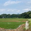 남평로199번길 이미지