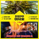 야자 이미지