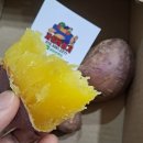🍓 MBC 전국 1등 최우승한 금실딸기밭 🍊 불로초 귤 🍅 짭짤이토마토 🍋 성주 용암참외 🍊 레드향 🥝골드키위 이미지