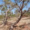 은진농장 이미지