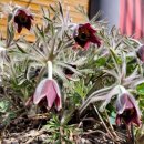 용인에버랜드펜션 이미지