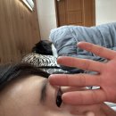 궁궐민박 이미지